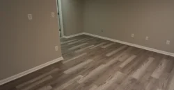 Yankee Cove Basement