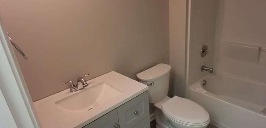 Yankee Cove Basement