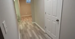 Yankee Cove Basement