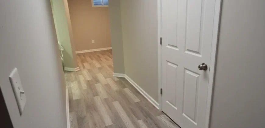 Yankee Cove Basement