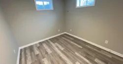 Yankee Cove Basement