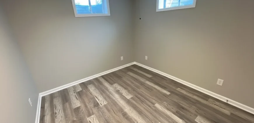 Yankee Cove Basement