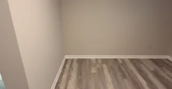 Yankee Cove Basement