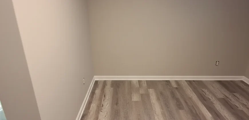 Yankee Cove Basement